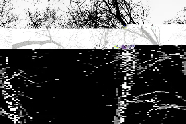 Broken on Purpose: Why the Art World Fell in Love with Corrupted Data